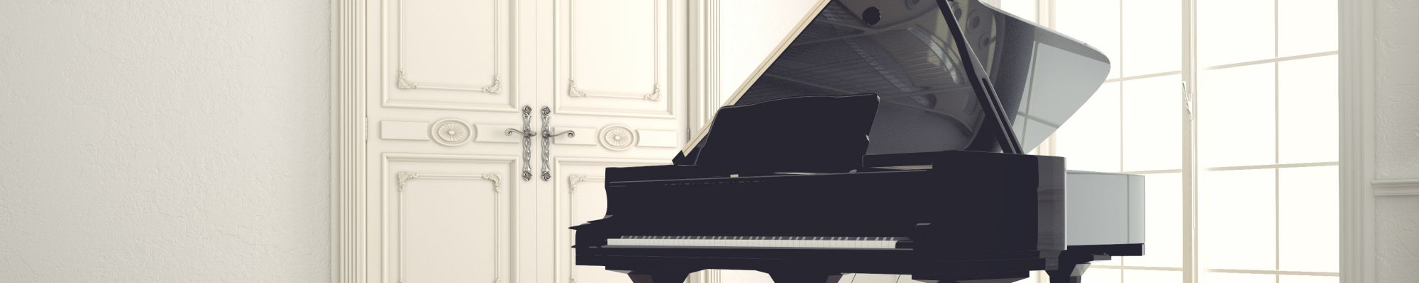 Photo of Piano Removals