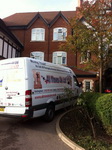 Our November Moves