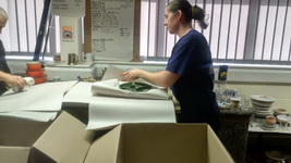 Recent Removal Jobs We’ve Carried Out