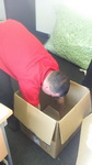 Recent Removal Jobs We’ve Carried Out