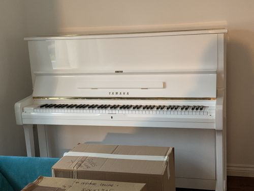 Click Here To Enlarge This Photo Of Our Recent Home Removals…