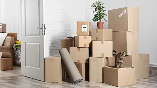 Packing Service